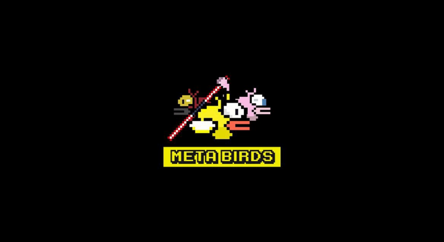 Meta Birds NFT Launch Details » Drop Details and Public Mint Price !